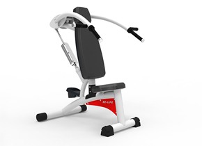 RL8102 Overhead Press/Pulldown